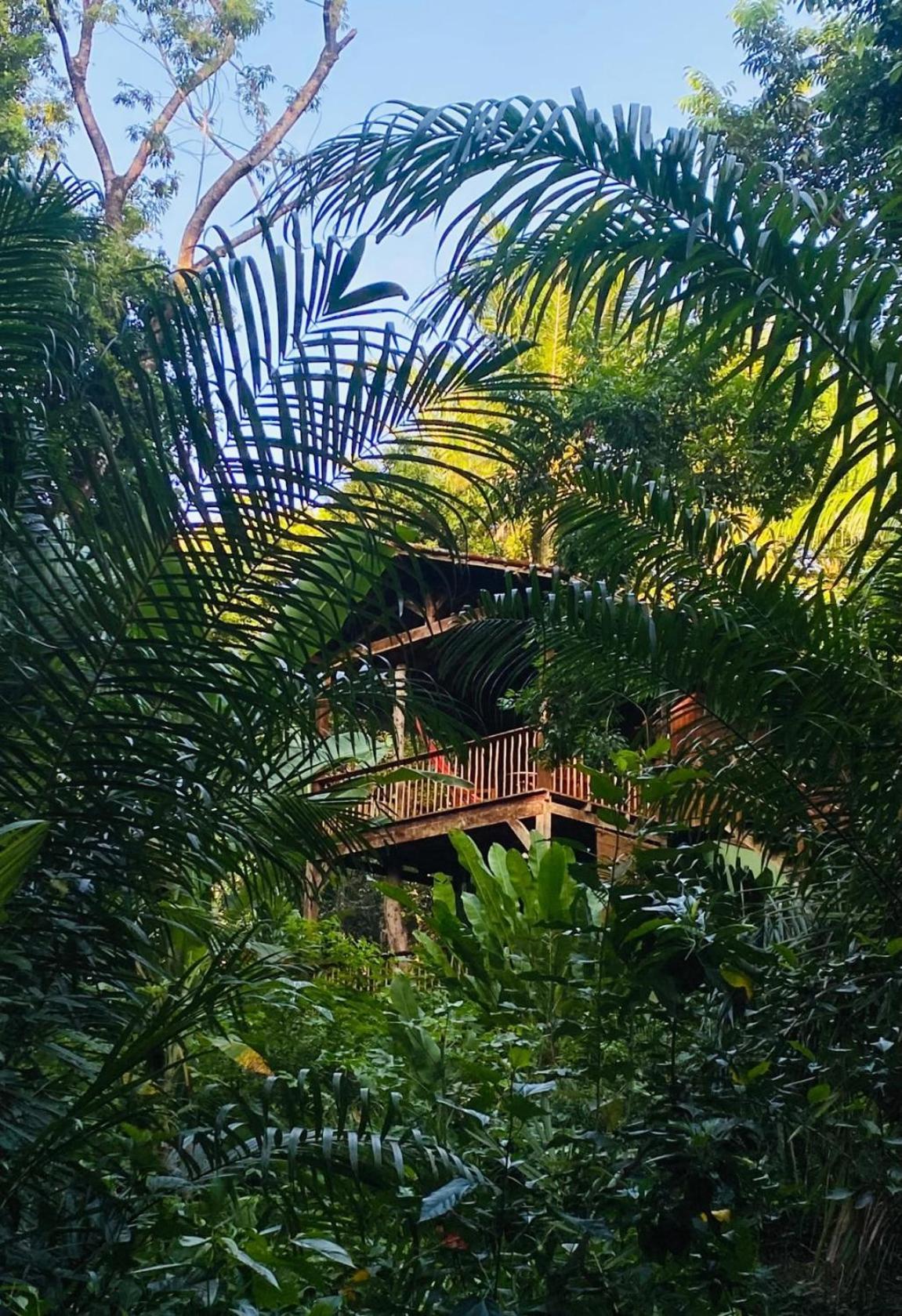 Pousada Anjali Velha Boipeba Exterior foto